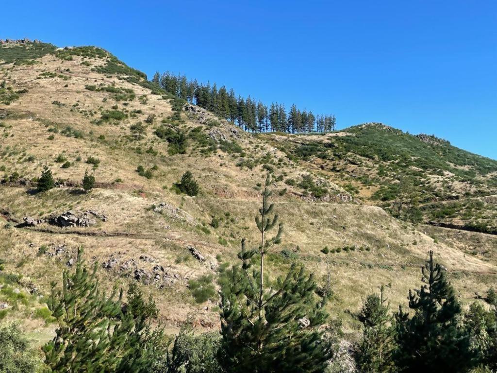 Mountain Eco Shelter 2 Ξενοδοχείο Φουνκάλ Εξωτερικό φωτογραφία