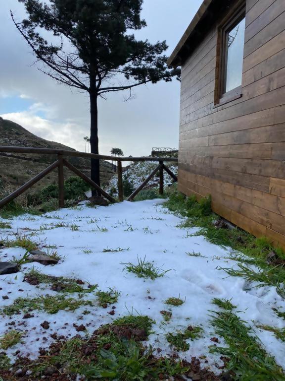 Mountain Eco Shelter 2 Ξενοδοχείο Φουνκάλ Εξωτερικό φωτογραφία