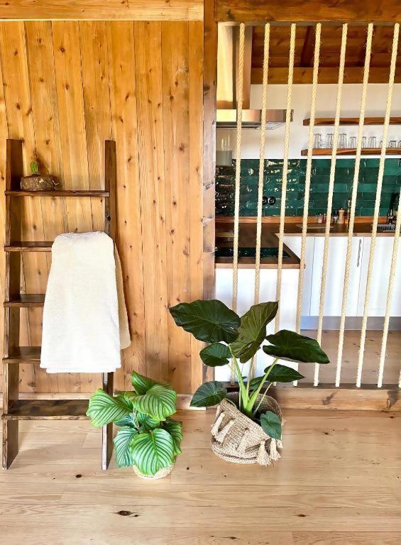 Mountain Eco Shelter 2 Ξενοδοχείο Φουνκάλ Εξωτερικό φωτογραφία